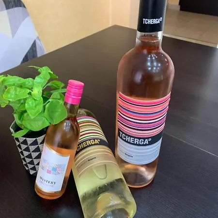 酒店 拉德2号酒店 Vratsa